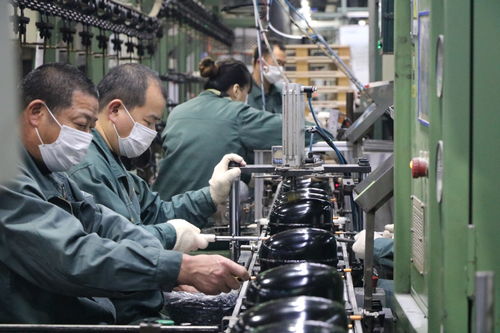 海外訂單激增，長虹電視與冰空洗產(chǎn)品同比大幅增長，網(wǎng)絡(luò)技術(shù)服務(wù)助力業(yè)務(wù)拓展